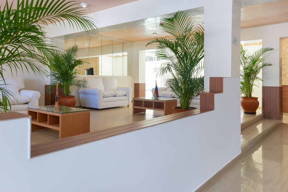 Sala de estar del lobby con sofás y plantas tropicales