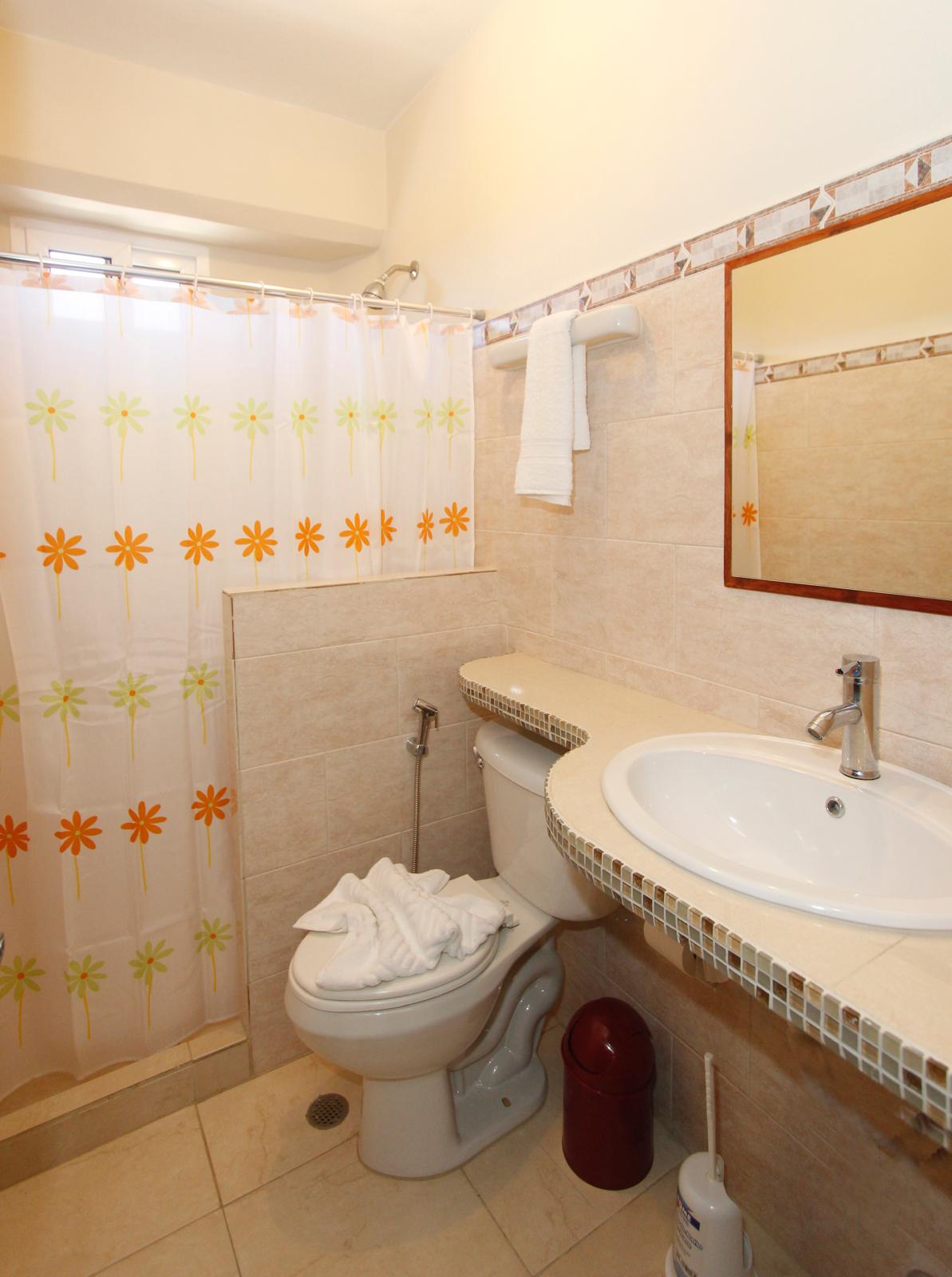 Detalle de baño con ducha